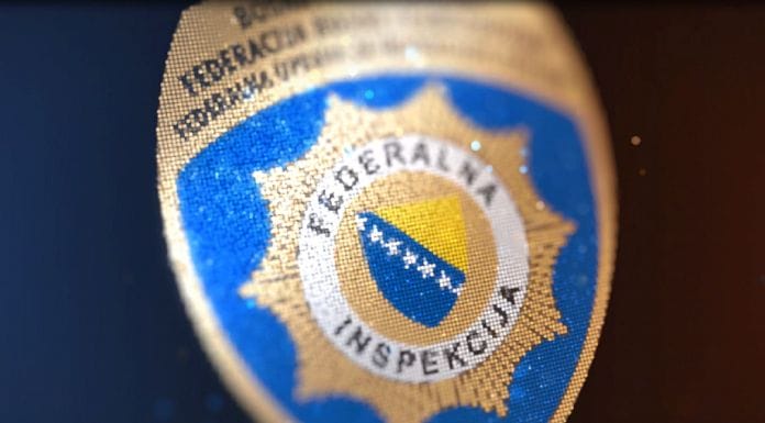 Federalna inspekcija