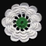 cvijet Srebrenice