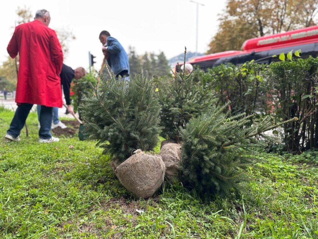12. Terenska volonterska akcija sadnje drveća