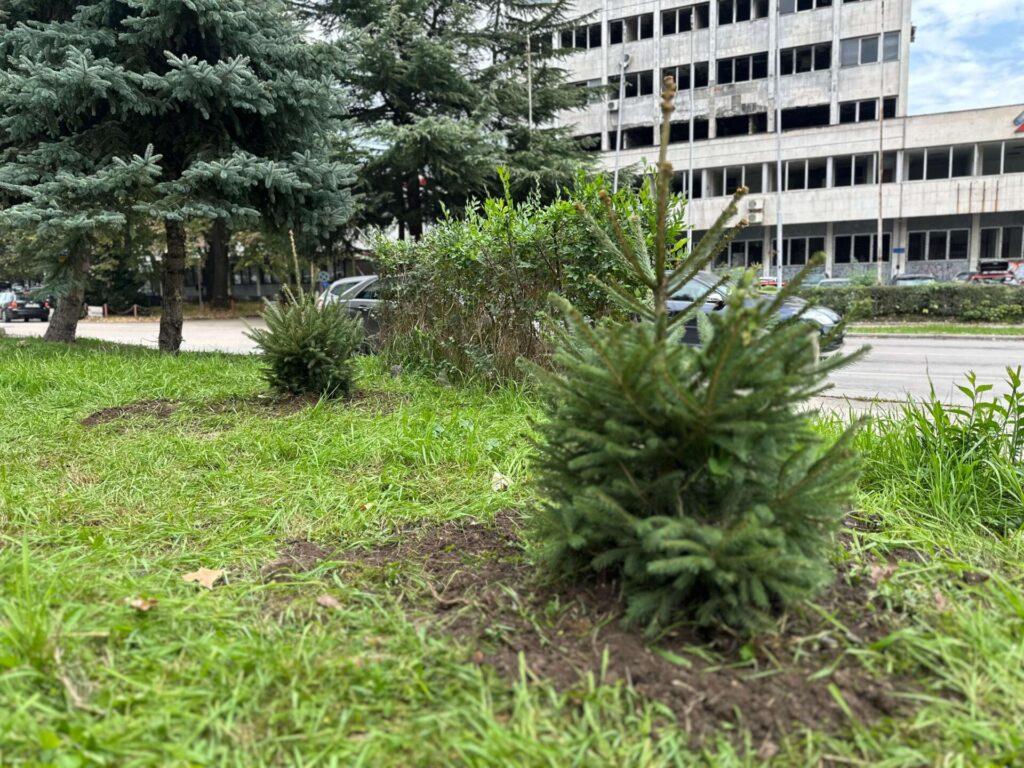 12. Terenska volonterska akcija sadnje drveća