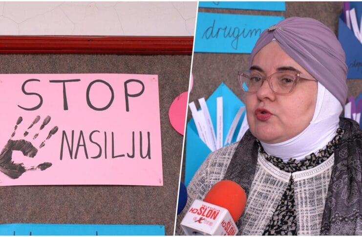 Međuvršnjačko nasilje