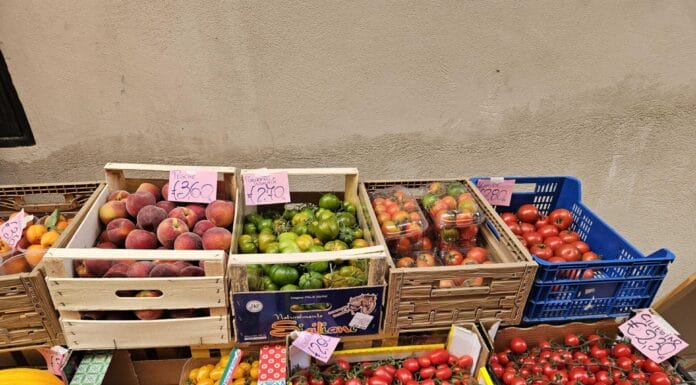 Voće, povrće, Bari, životne namirnice