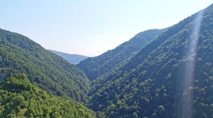 Svjetski dan zaštite okoliša, Majevica, Litij, Klimatske promjene, Pogled na šumovite planine Srednje Bosne obasjane suncem, s dubokom dolinom između
