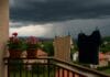 nevrijeme, Balkon sa cvijećem i sušećim vešom dok se u daljini vidi olujno nebo