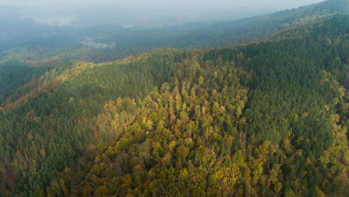 Skupština Grada Doboja proglasila Ozren zaštićenim područjem