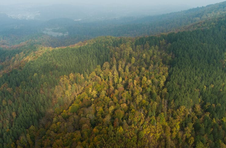 Skupština Grada Doboja proglasila Ozren zaštićenim područjem