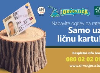 Drvosječa