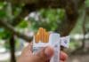 Cigareta, zabranjeno pušenje, cigarete, gdje još zakon dopušta cigaretu
