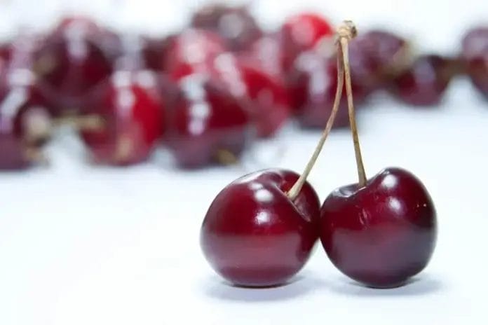 Crvići u trešnjama: Kako ih prepoznati i sigurno ukloniti