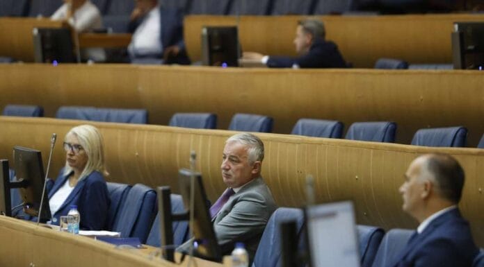 Rasprava poslanika PSBIH o (ne)imenovanju ministra sigurnosti BiH