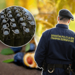 rakija, rakije, gp, krijumčarenje