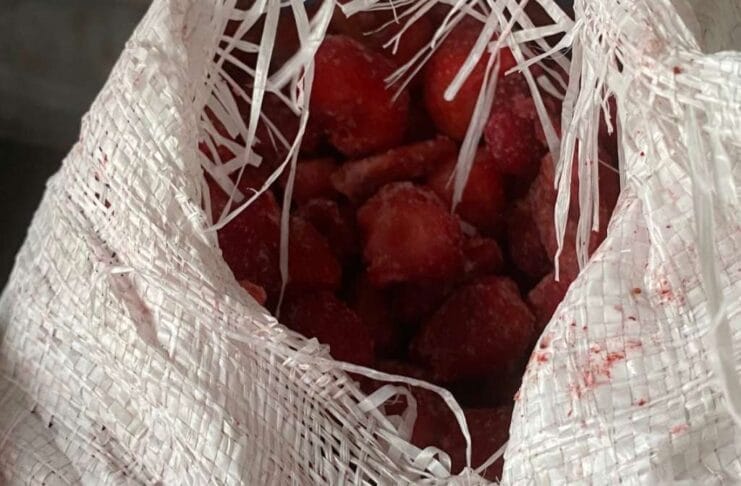 Zabranjen uvoz jagoda iz Egipta i sladoleda iz Turske zbog zdravstvene neispravnosti