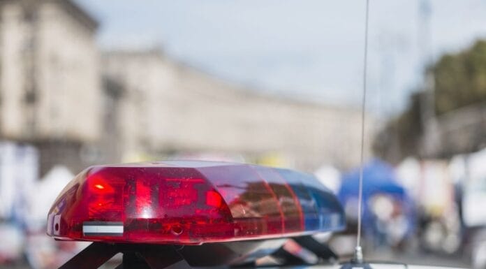 Saobraćajna nesreća/policija/ preminula i saputnica/ radnik/pogibija/ oduzeta droga,oružje, policijska akcija