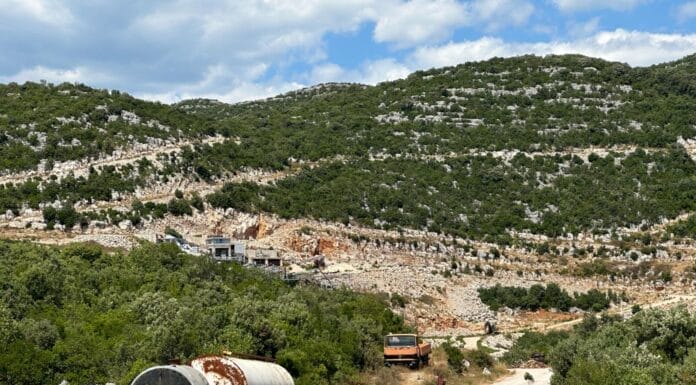 Pristupni put i pogled na kamenolom u Začuli, okružen šumom i brdima