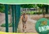 ZOO vrt Bingo ima novo radno vrijeme