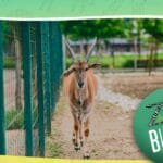 ZOO vrt Bingo ima novo radno vrijeme