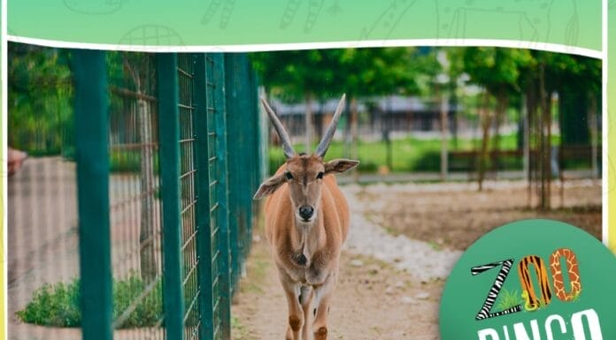 ZOO vrt Bingo ima novo radno vrijeme