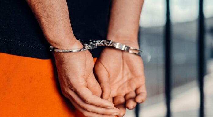 Policija, hapsenje, licije, hrvatska