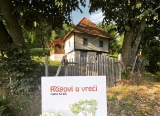 Za ljubitelje pisane riječi: preporučujemo roman „Rogovi u vreći“ Foto: Facebook