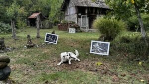 Likovni sabor „Turismo Artistica“ završio umjetničko putovanje kroz BiH